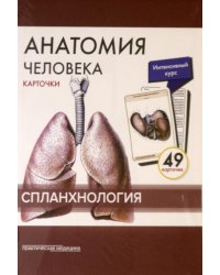 Анатомия человека: карточки. (49 шт). Спланхнология