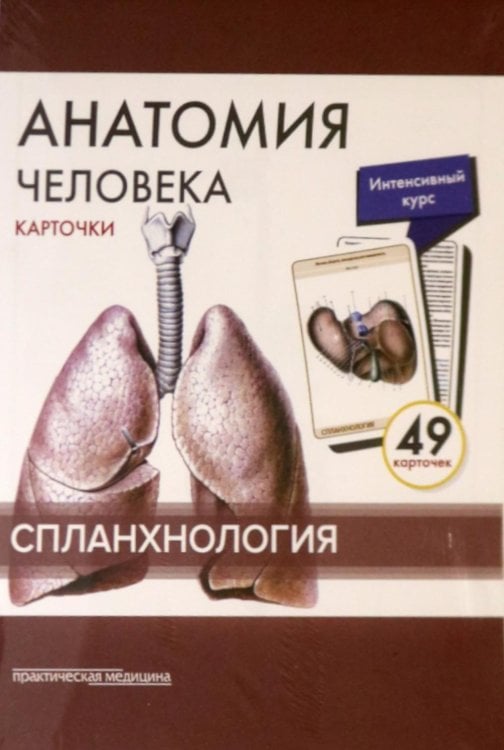 Анатомия человека: карточки. (49 шт). Спланхнология
