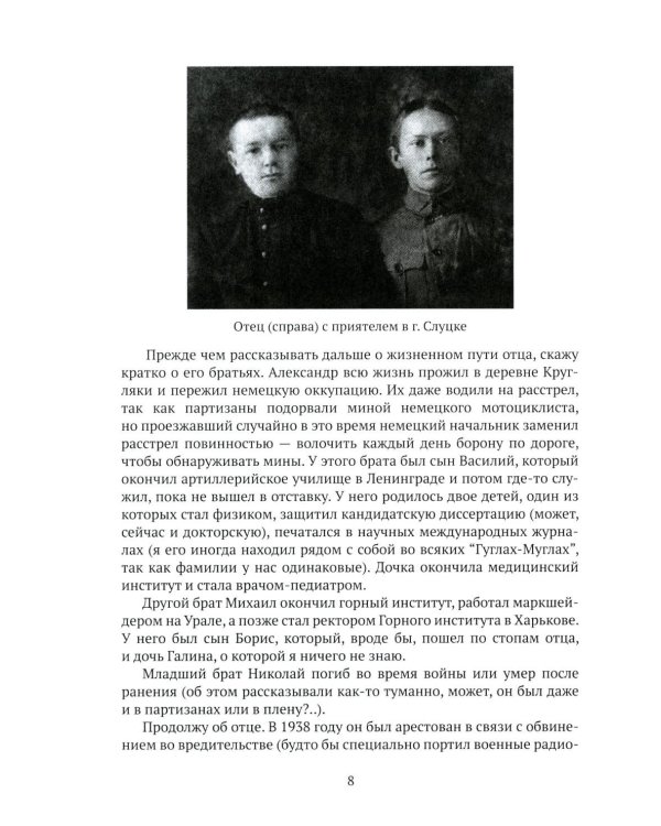 Автобиографические очерки IT-теоретика