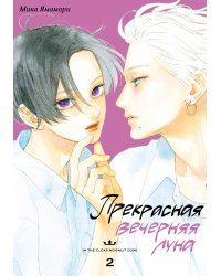 Прекрасная вечерняя луна. Т. 2: манга