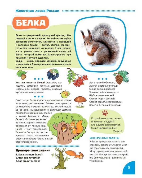 Дополнительное изображение книги «Дикие животные. Познавательная книга для детей 4-8 лет»