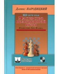 Шахматы. Мастерство позиционной игры