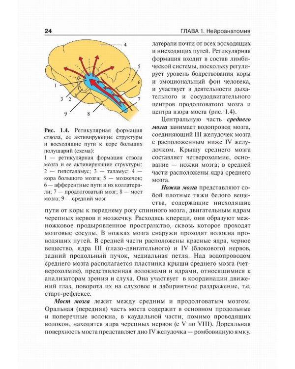 Детская неврология: Учебник. В 2 т. Т. 1