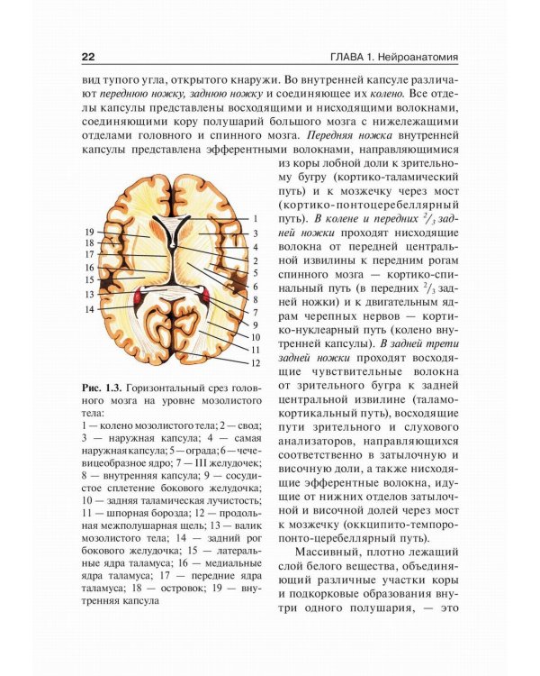 Детская неврология: Учебник. В 2 т. Т. 1