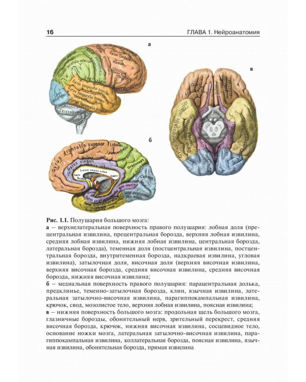 Детская неврология: Учебник. В 2 т. Т. 1