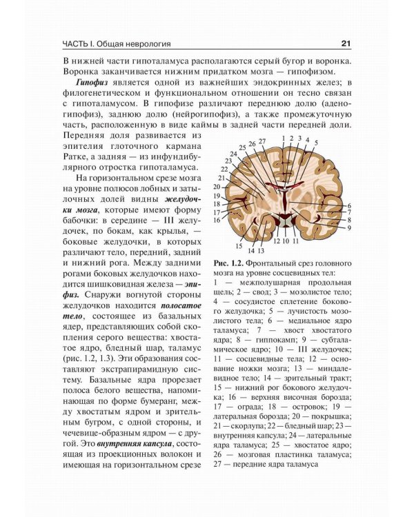 Детская неврология: Учебник. В 2 т. Т. 1