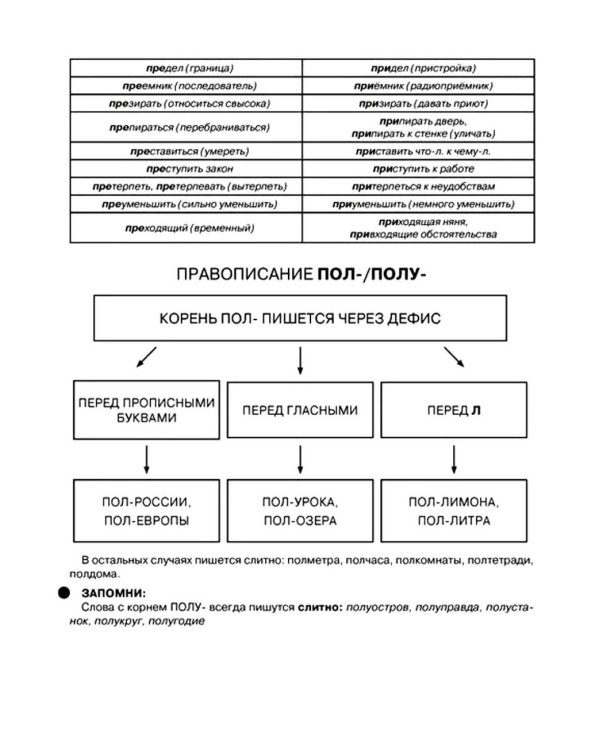 Дополнительное изображение книги «Русский язык в таблицах и комиксах»
