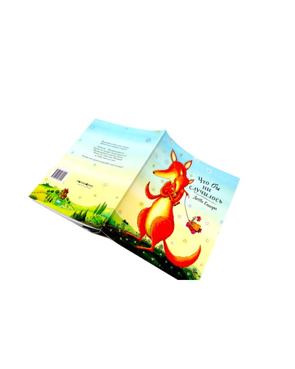 Непогода; Что бы ни случилось (комплект из 2-х книг)