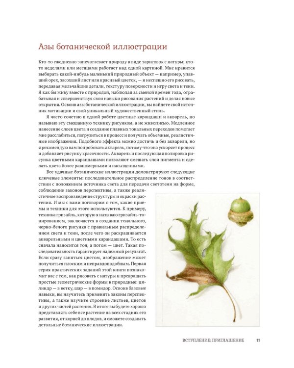 Ботаническая иллюстрация с удовольствием. Пошаговое руководство по изображению цветов, листьев, плодов и других элементов растений