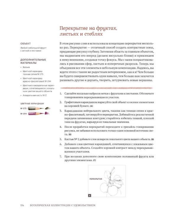 Ботаническая иллюстрация с удовольствием. Пошаговое руководство по изображению цветов, листьев, плодов и других элементов растений