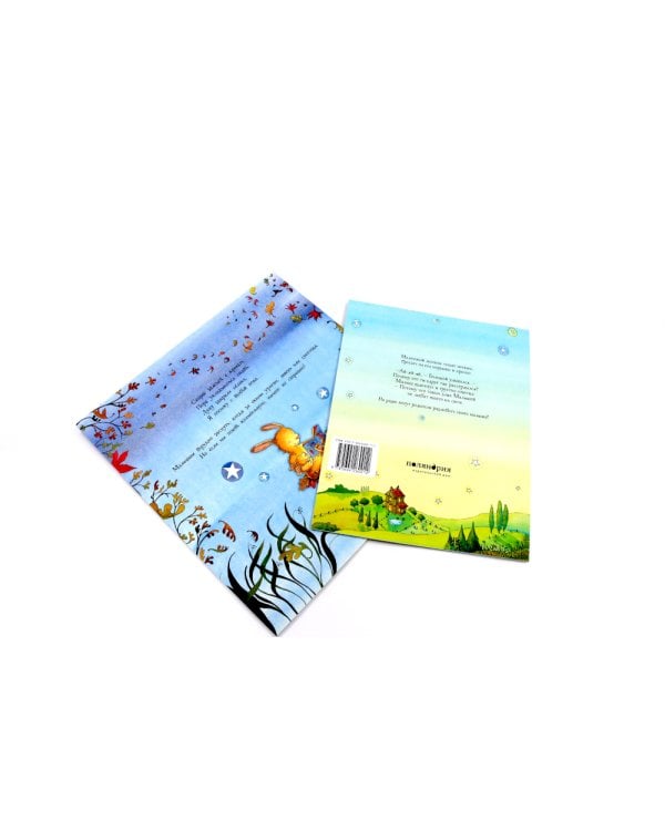 Непогода; Что бы ни случилось (комплект из 2-х книг)