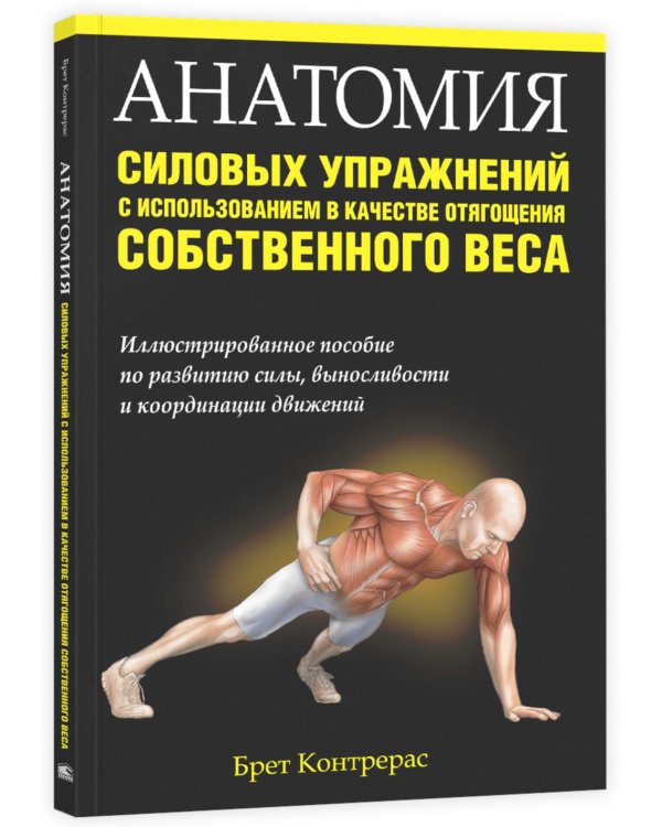 Анатомия силовых упражнений с использованием в качестве отягощения собственного веса