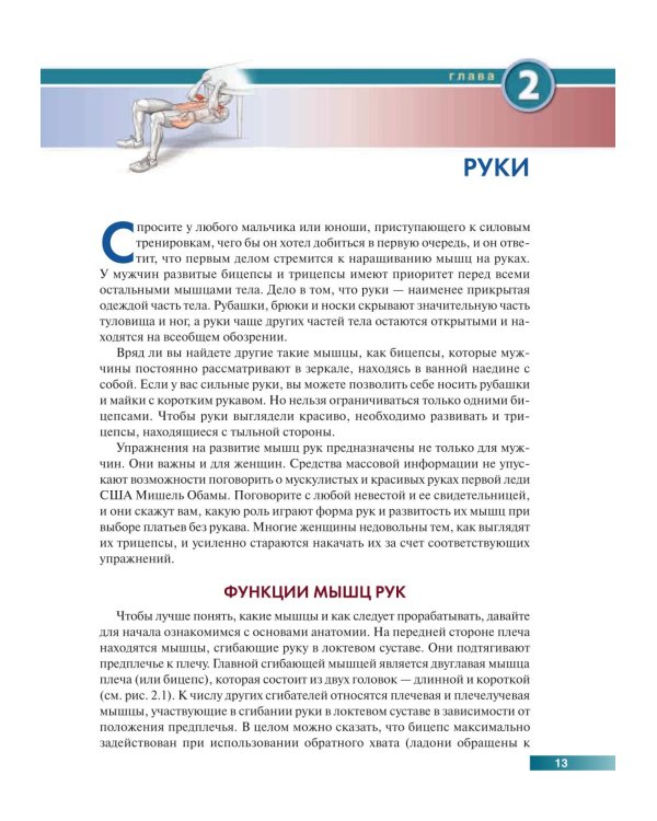 Анатомия силовых упражнений с использованием в качестве отягощения собственного веса