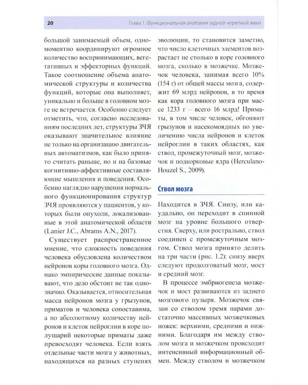 Физическая и психологическая реабилитация детей с опухолями задней черепной ямки: монография