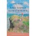 Дополнительное изображение книги «Алые паруса. Бегущая по волнам»
