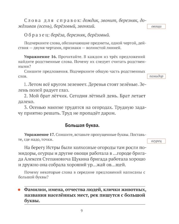 Русский язык для 2 класса начальной школы: Учебник