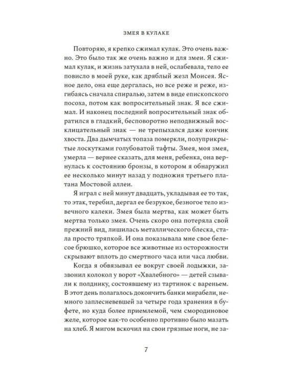 Змея в кулаке: роман