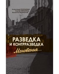 Разведка и контрразведка. Мгновенья…