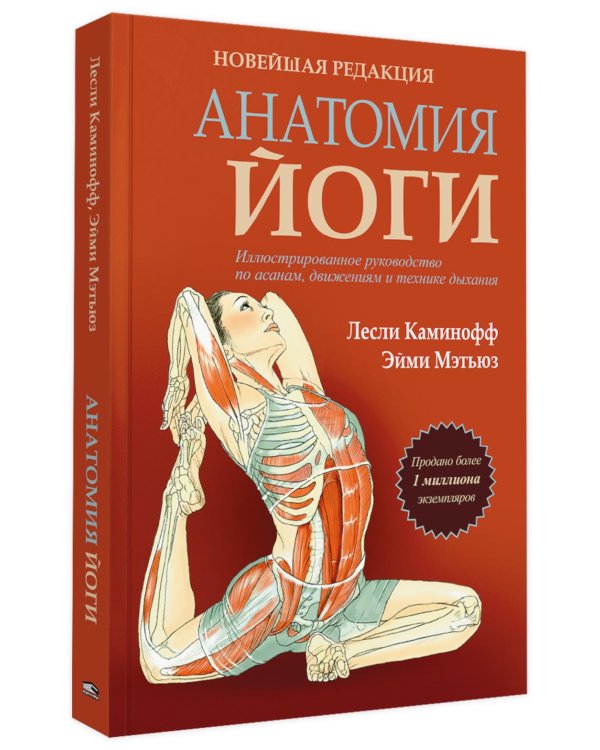 Анатомия йоги. Новейшая редакция