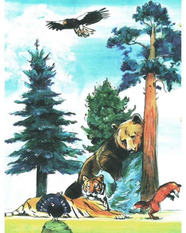 Тайга. Удивительный лес. Вып. 5. 3-е изд