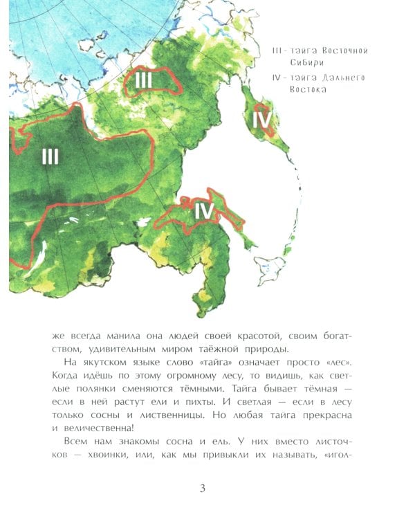 Тайга. Удивительный лес. Вып. 5. 3-е изд