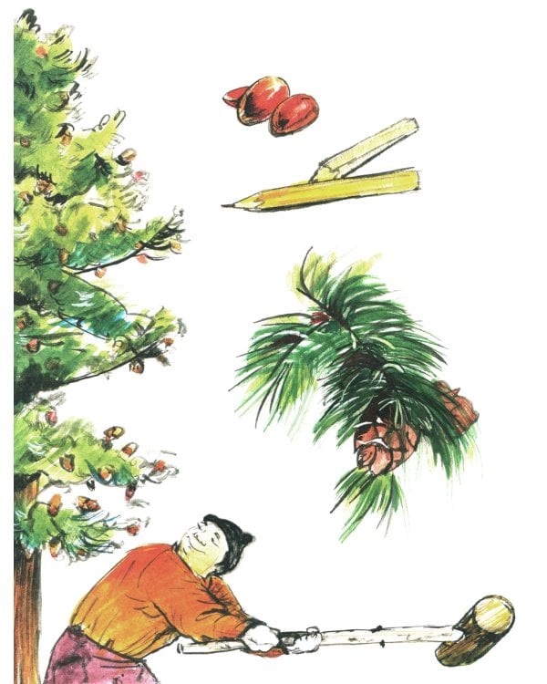 Тайга. Удивительный лес. Вып. 5. 3-е изд