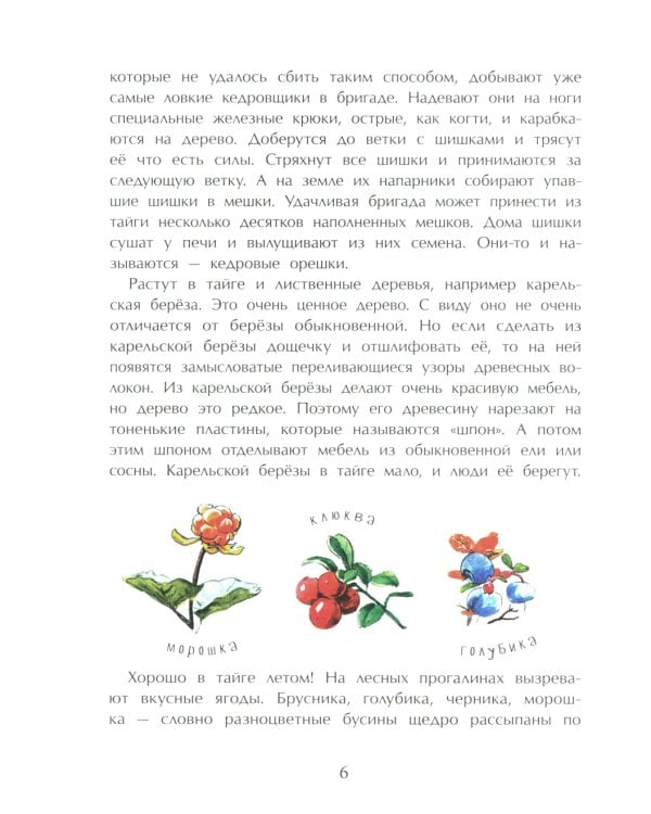 Тайга. Удивительный лес. Вып. 5. 3-е изд