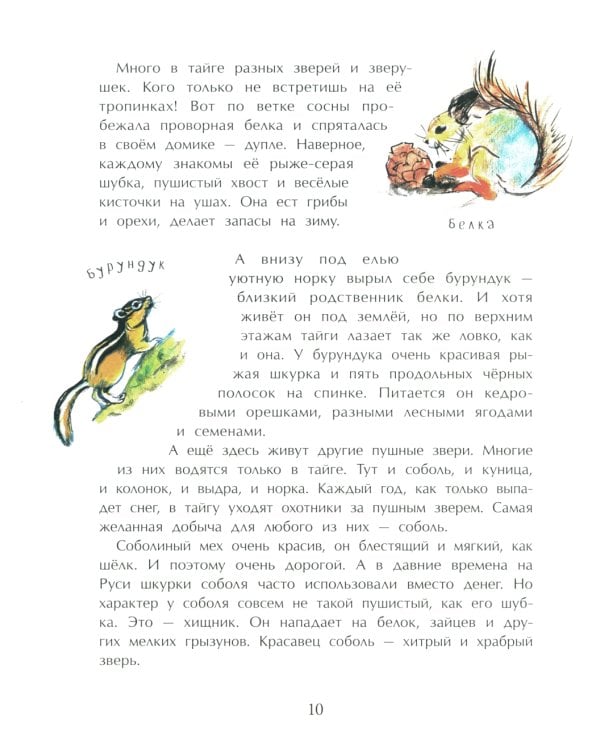 Тайга. Удивительный лес. Вып. 5. 3-е изд