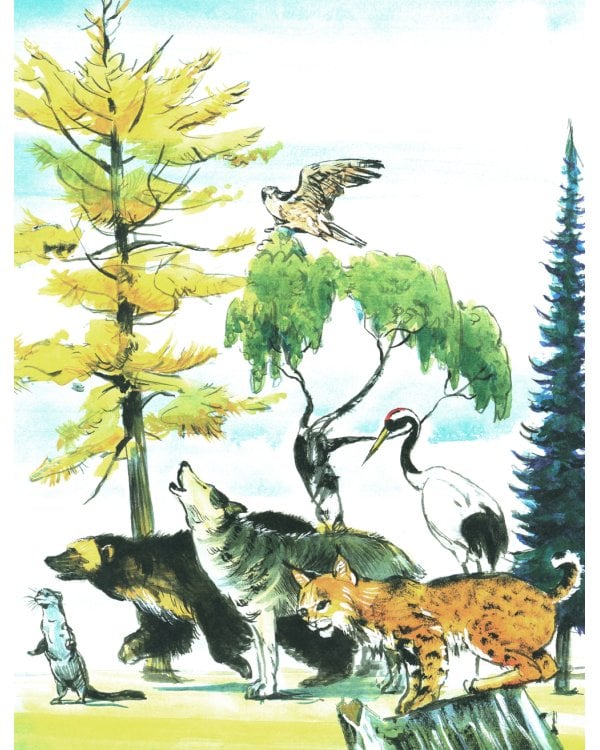 Тайга. Удивительный лес. Вып. 5. 3-е изд