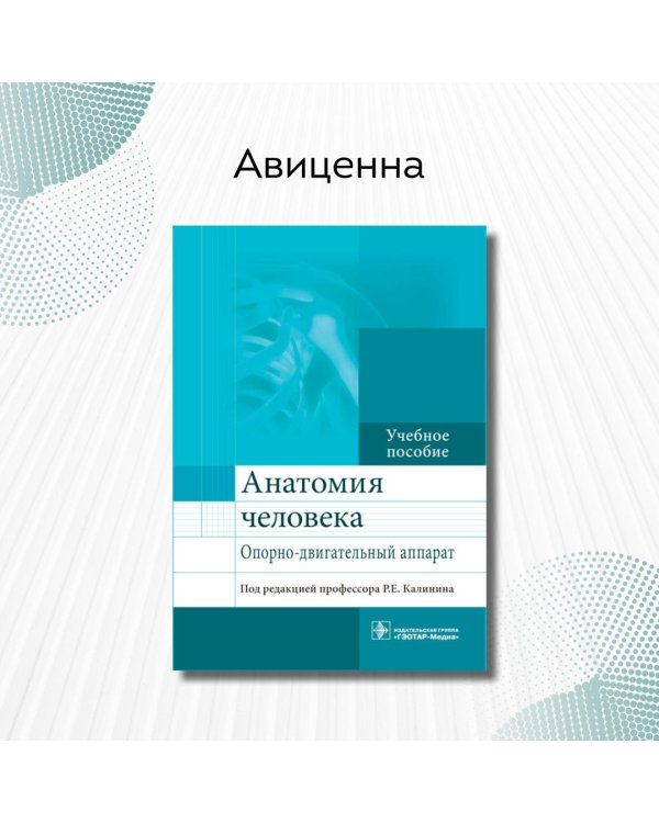 Дополнительное изображение книги «Анатомия человека. Опорно-двигательный аппарат. Учебное пособие»