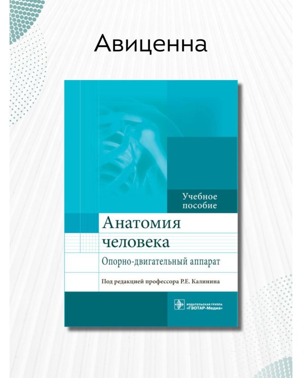 Дополнительное изображение книги «Анатомия человека. Опорно-двигательный аппарат. Учебное пособие»