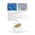 Biology = Биология : textbook. (книга на англ. яз.)