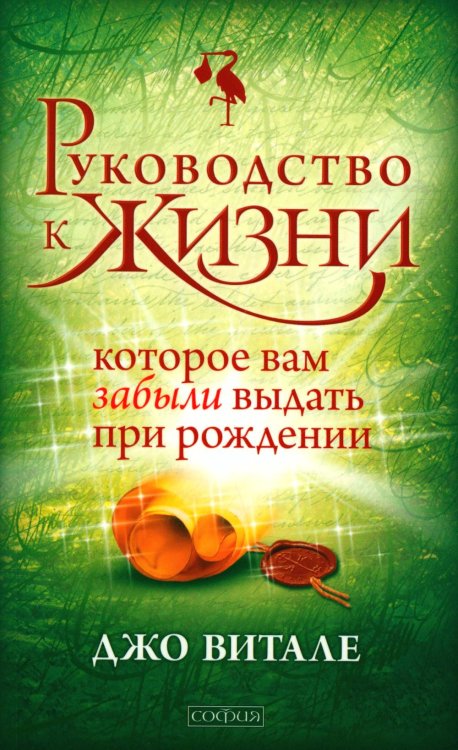 Руководство к жизни, которое вам забыли выдать при рождении (обл.) Руководство к жизни, которое вам забыли выдать при рождении (обл.)