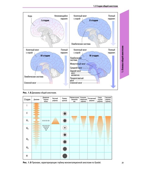 Атлас по анестезиологии. 5-е изд