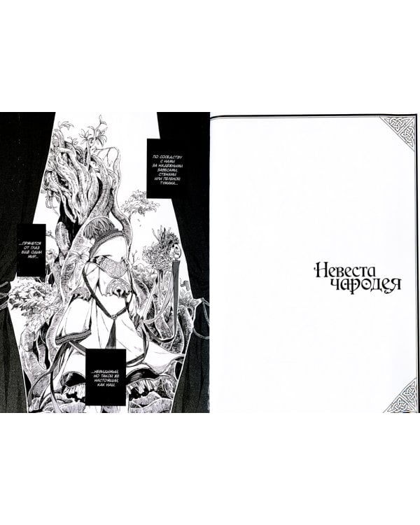 Невеста чародея. Т. 1: манга. 5-е изд