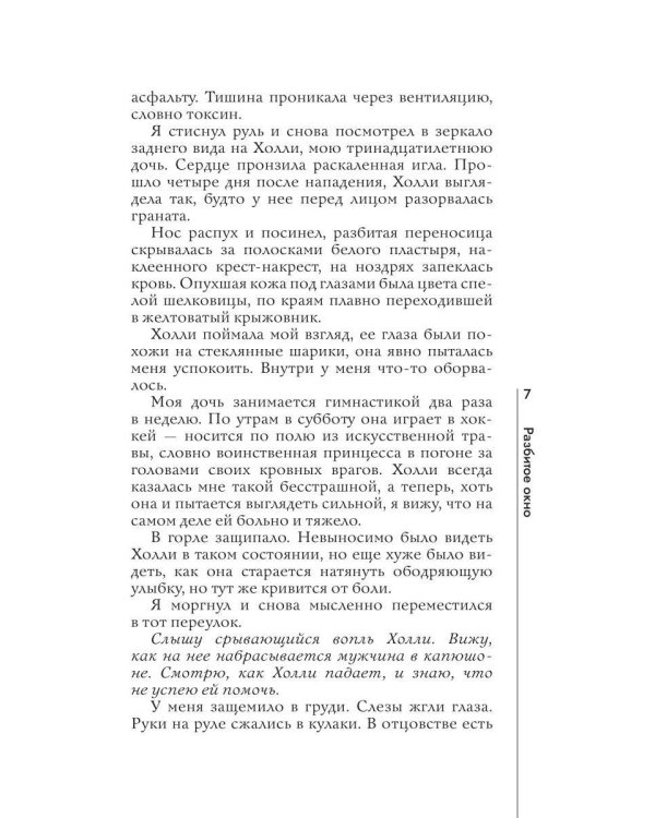 Дополнительное изображение книги «Разбитое окно»
