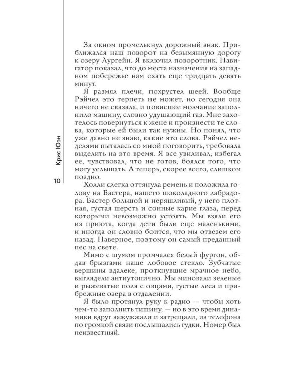 Дополнительное изображение книги «Разбитое окно»
