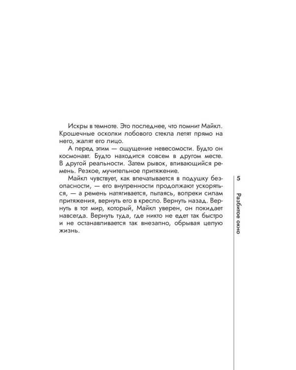 Дополнительное изображение книги «Разбитое окно»