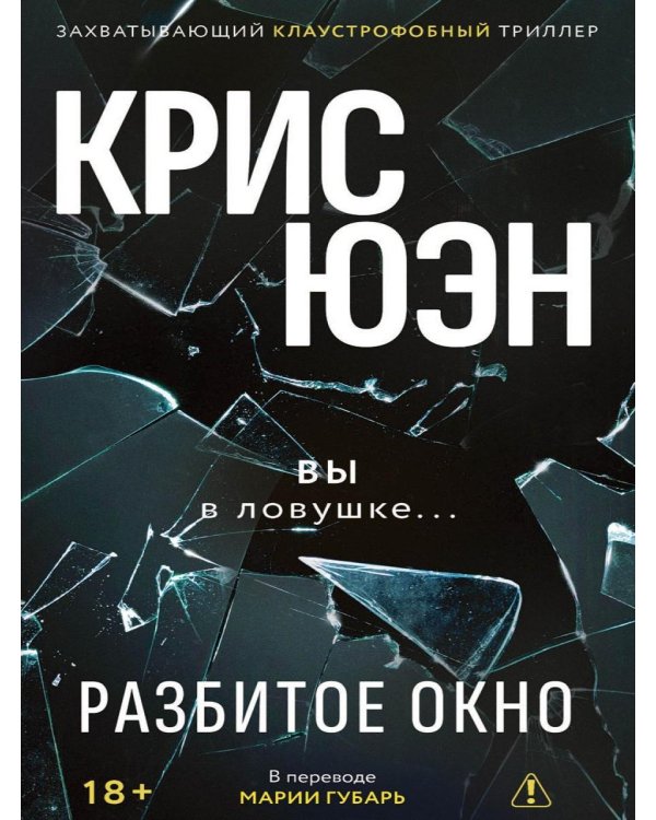 Дополнительное изображение книги «Разбитое окно»