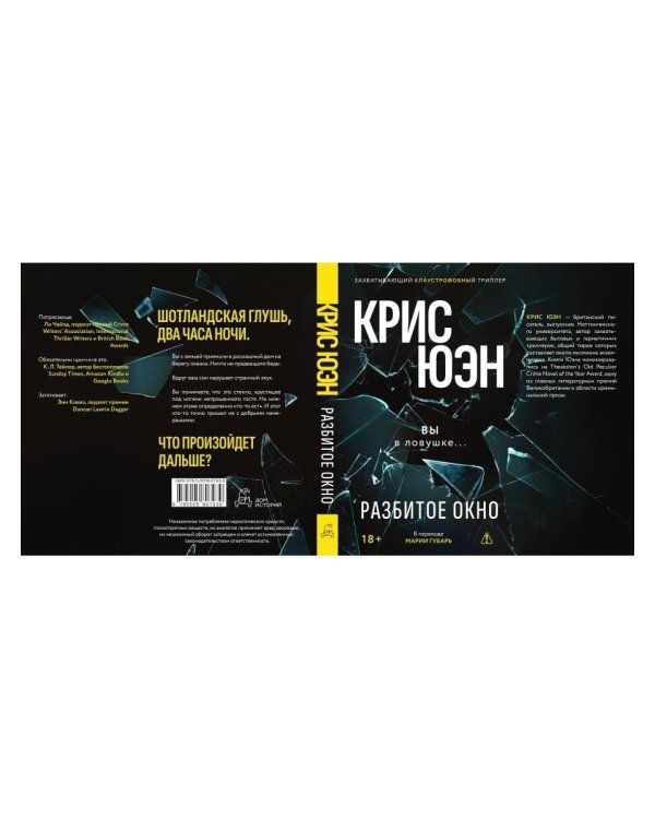Дополнительное изображение книги «Разбитое окно»