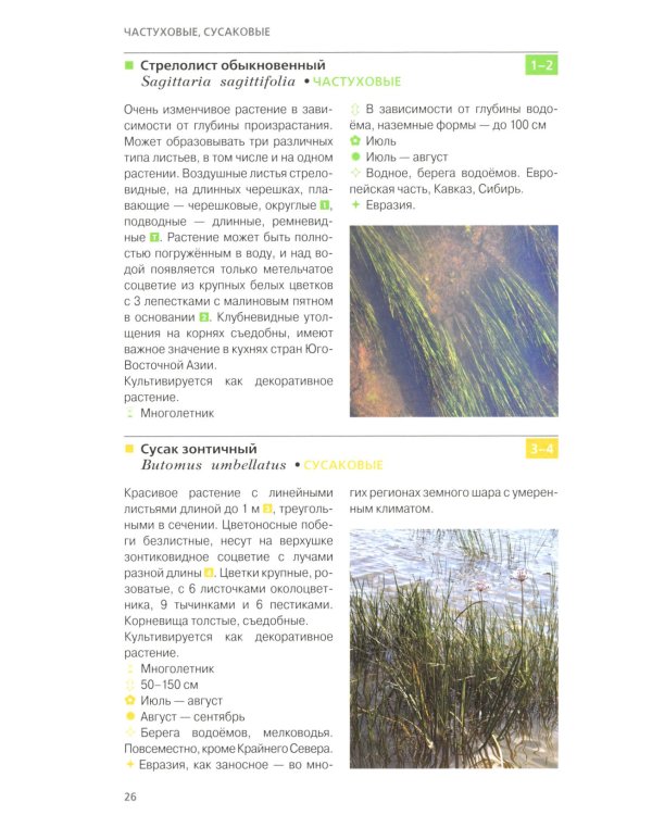 Травянистые растения средней полосы России: Фотоопределитель. 2-е изд., доп.и перераб