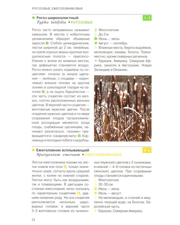 Травянистые растения средней полосы России: Фотоопределитель. 2-е изд., доп.и перераб