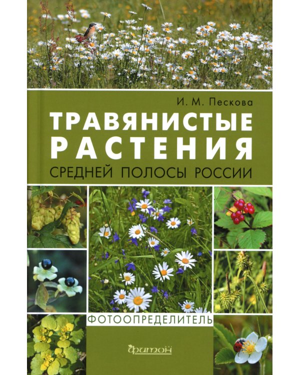 Травянистые растения средней полосы России: Фотоопределитель. 2-е изд., доп.и перераб