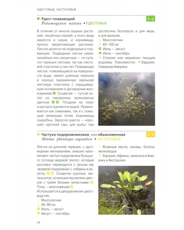 Травянистые растения средней полосы России: Фотоопределитель. 2-е изд., доп.и перераб