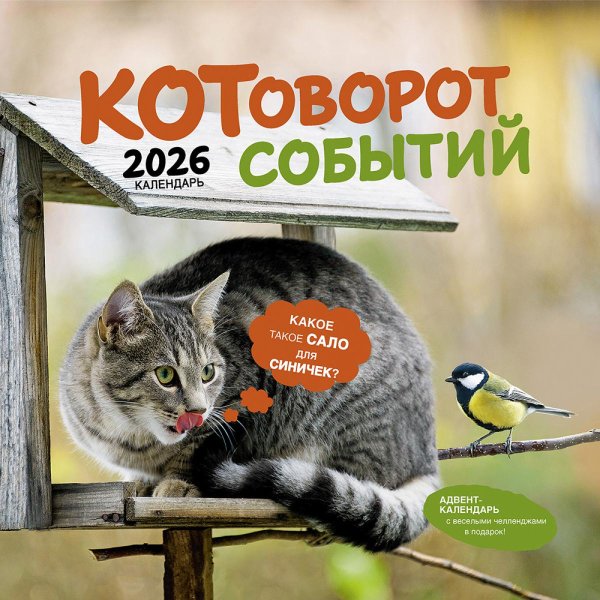 Котоворот событий: Календарь 2026
