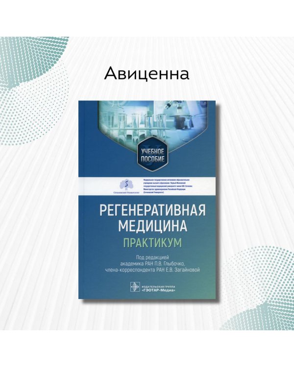 Регенеративная медицина. Практикум. Учебное пособие