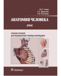Анатомия человека. Атлас: Учебное пособие для медицинских училищ и колледжей