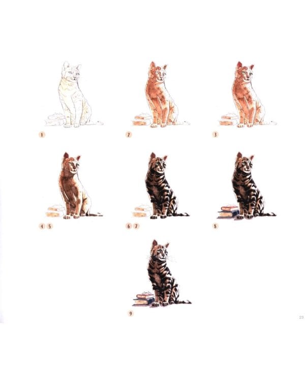 Harry Potter Watercolour Wizardry