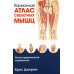 Карманный атлас скелетных мышц: Иллюстрированный справочник