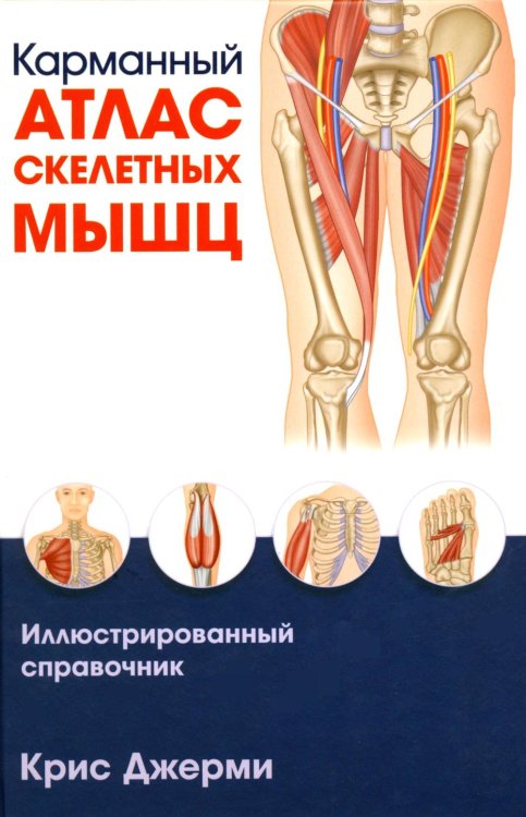 Карманный атлас скелетных мышц: Иллюстрированный справочник